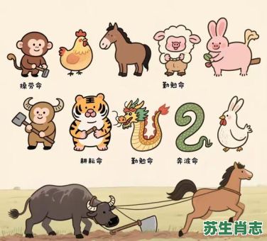 荒郊野外的生肖是什么？荒郊野外最准确一生肖