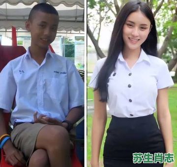 泰国人妖是什么生肖?泰国十二生肖是哪些动物 泰国人妖是什么生肖?泰国十二生肖是哪些动物