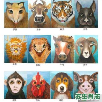 一生九死是什么生肖？九死一生暗示数字几