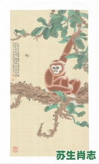 花鸟是什么生肖？妖代表什么生肖