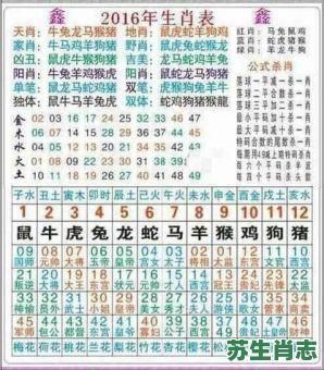 买马40是什么生肖？40代表什么生肖