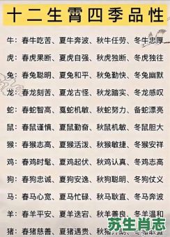 山寨相聚是什么生肖？时光代表什么生肖