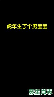 地上称王是什么生肖？地上称王的生肖