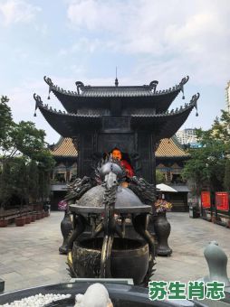 夕阳斜照是什么生肖？夕阳斜照半边红打一正确