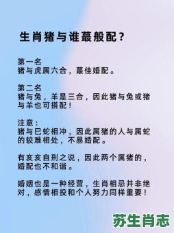 羡煞旁人是什么生肖？有目共睹打一生肖