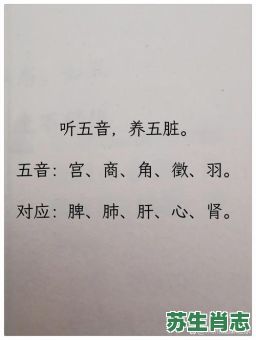 五音是什么生肖？五音之内打一最佳生肖