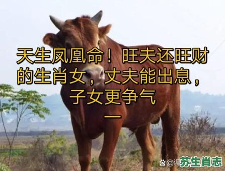 最长命的动物是什么生肖？命最好的生肖女第一名