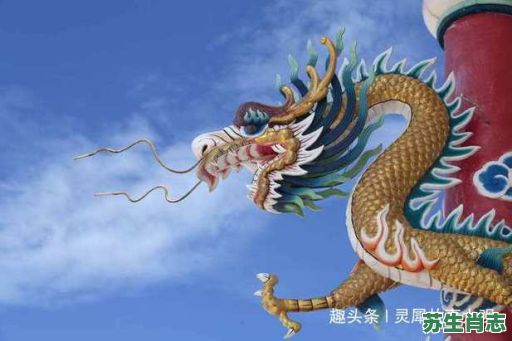 居住天上飞是什么生肖？天上飞的最准确生肖