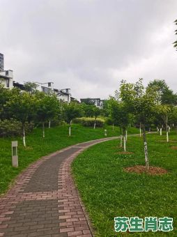 三天打鱼是什么生肖？三天打鱼两天网猜生肖