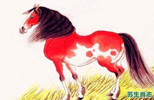 独步一时是什么生肖？步履如飞的生肖