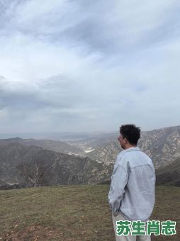 捱是什么生肖？捱字打一准确生肖