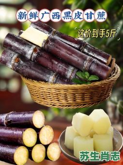 蔗是什么生肖？蔗打一准确生肖是什么