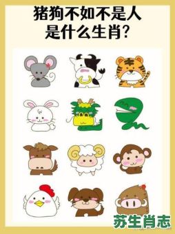 橙是什么生肖?12生肖对应的颜色 橙是什么生肖?12生肖对应的颜色