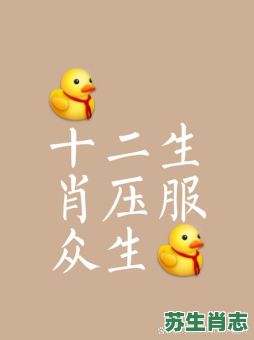 贼秃是什么生肖?和尚骂贼秃最正确生肖 贼秃是什么生肖?和尚骂贼秃最正确生肖