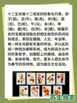 海湾大战是什么生肖？大战指什么生肖