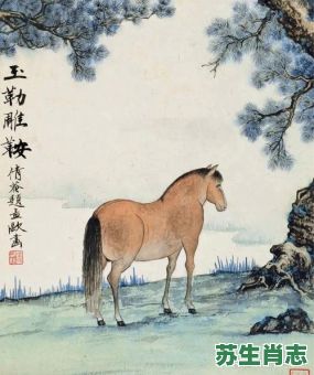 驿寄梅花是什么生肖？梅花代表的动物