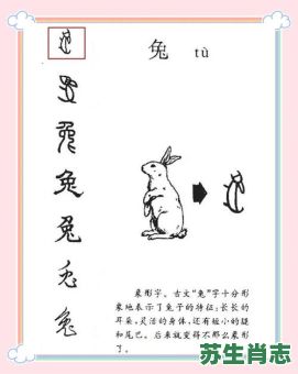 丽的动物是什么生肖?丽字最正确的生肖 丽的动物是什么生肖?丽字最正确的生肖