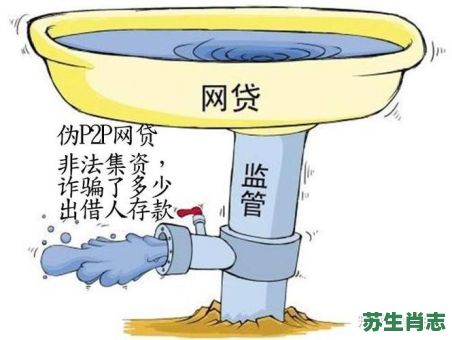 高利贷是什么生肖？十二生肖中谁是老赖