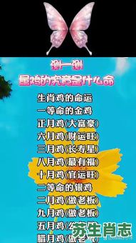 山鸡变凤凰是什么生肖？山鸡变凤凰打准确一肖