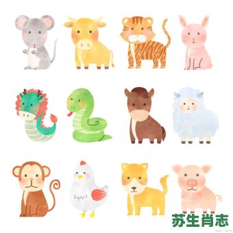 居无定所是什么生肖？十二生肖居无定所的动物