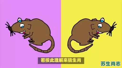 朝纲有主见是什么生肖?朝纲最正确一肖 朝纲有主见是什么生肖?朝纲最正确一肖