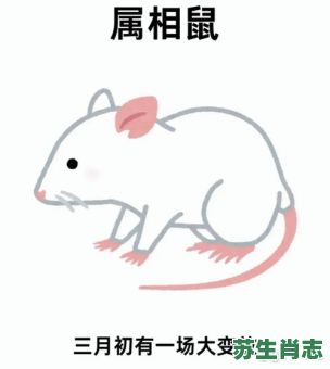 陋巷箪瓢是什么生肖？陋巷箪瓢打一动物