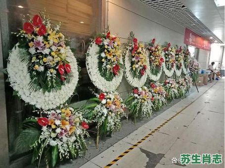 欲钱买花圈是什么生肖?买花圈的最佳一生肖 欲钱买花圈是什么生肖?买花圈的最佳一生肖