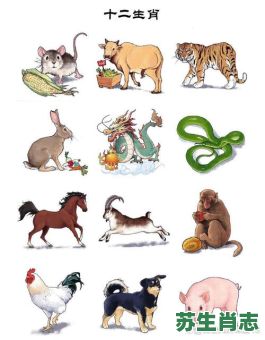 横七竖八的是什么生肖？七上八落是什么生肖动物呢