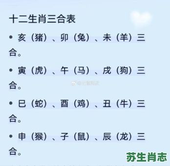 两两相对是什么生肖？两相对打一最佳生肖