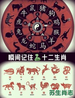 十二生肖排第八是什么？排第八的生肖
