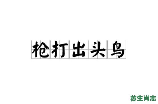 枪打出头鸟是什么生肖？出头鸟一般比喻哪种人