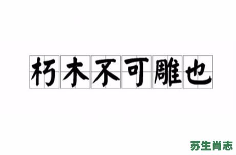 朽木不可雕是什么生肖？朽木不可雕换一句说法