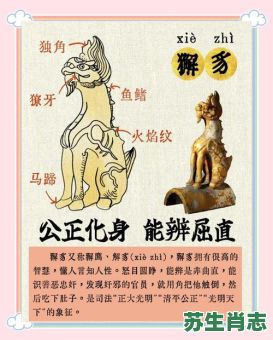 脊是什么生肖？脊椎动物指的是什么