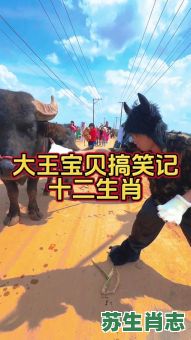 膑是什么生肖？孙膑的准确打一生肖