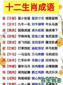 摧是什么生肖？催字打一准确生肖