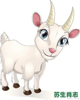 喂是什么生肖？喂打一生肖动物