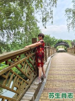 甸是什么生肖？甸字五行属什么