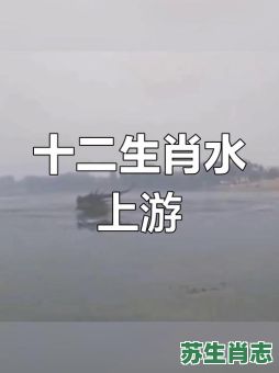 水上动物是什么生肖？水中有哪些动物