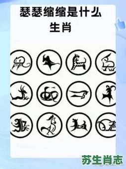 灵活无比是什么生肖？灵活无比信打一最佳生肖