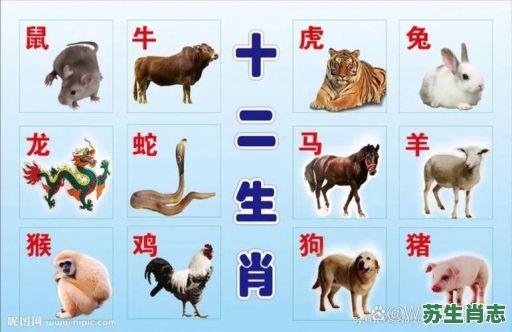十二生肖凶猛的动物是什么生肖？短肖正确答案动物