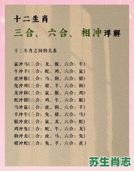 1992年属相是什么生肖？92属猴三合和三冲属相