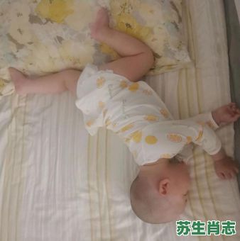 跪着睡觉的生肖是什么？跪着睡的生肖第一名