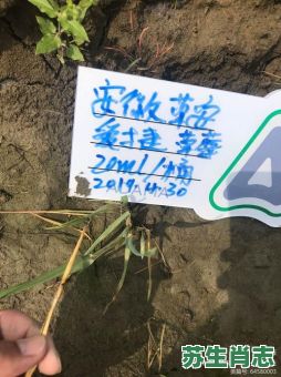 向田间出发是什么生肖?向田间出发打准确一肖 向田间出发是什么生肖?向田间出发打准确一肖