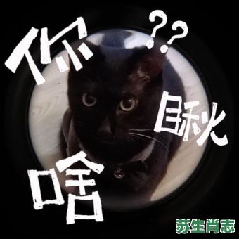 滑不溜秋是什么生肖？黑不溜秋的秋是哪个秋