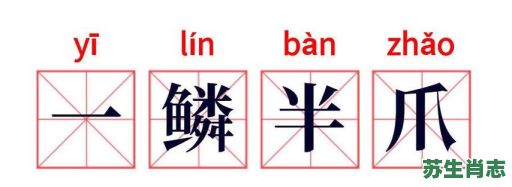 半鳞半爪是什么生肖？一鳞半爪的意思解释