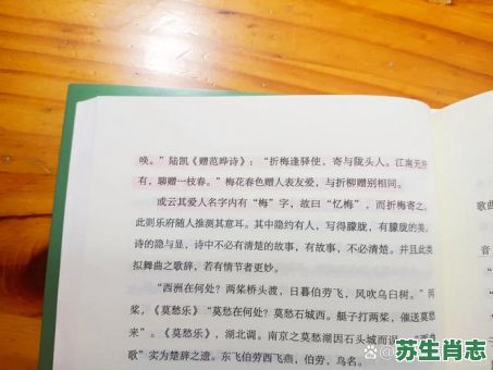 十二生肖梅花是什么肖?梅花打一个生肖 十二生肖梅花是什么肖?梅花打一个生肖