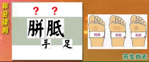 胝手胼足是什么生肖？十二生肖哪只胼手胝足