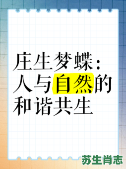 没轻没重是什么生肖？庄生梦蝶是什么生肖