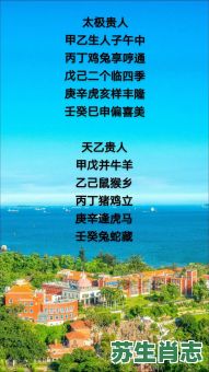 羣是什么生肖?象虎加钱是什么成语 羣是什么生肖?象虎加钱是什么成语