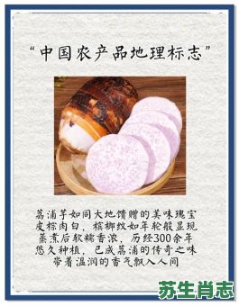 甜芋是什么生肖？芋的五行属性是什么